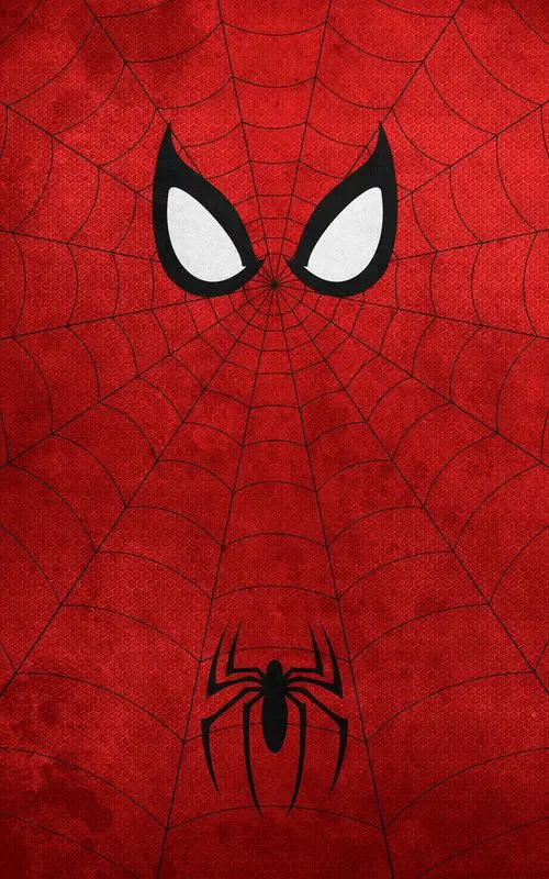 SPIDER MAN