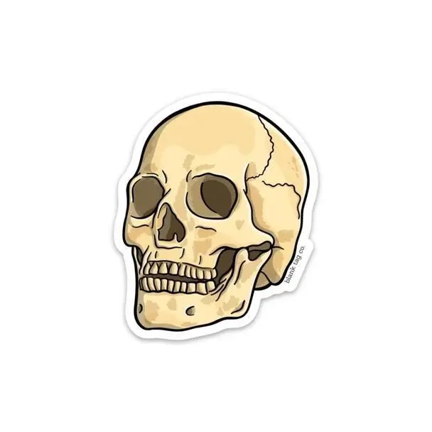 Skull