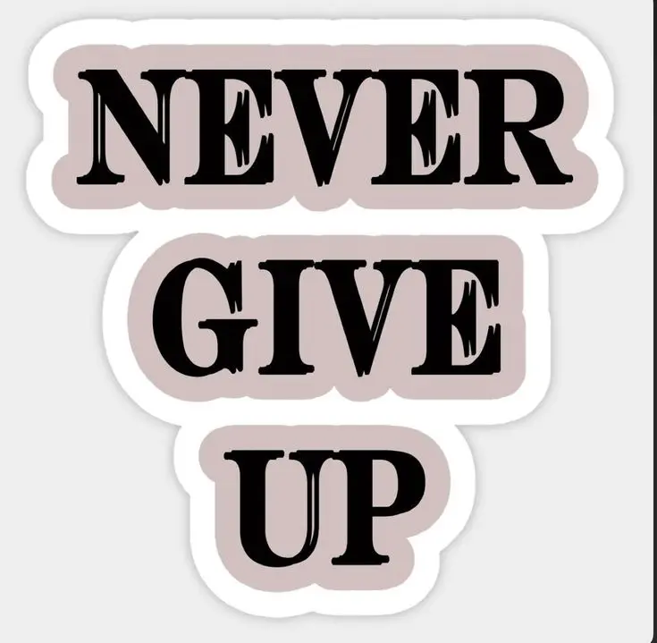 Never Give Up