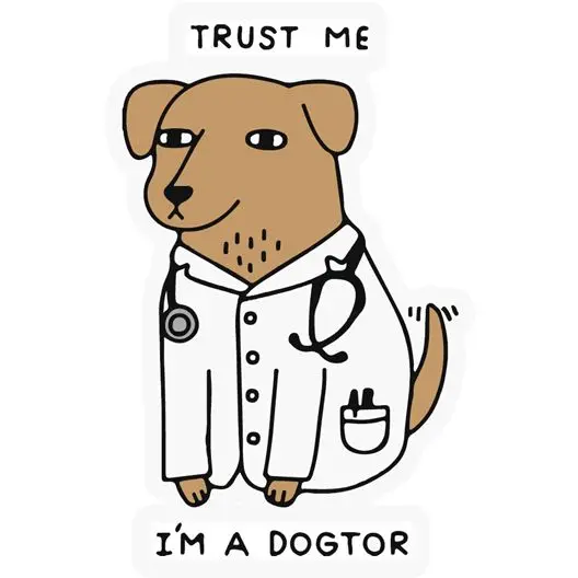 I'M A Dogtor