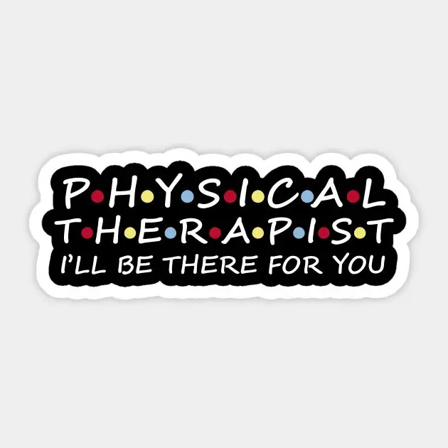 Physical Therapist