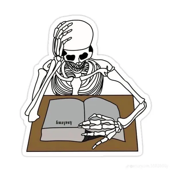 Skeleton Student