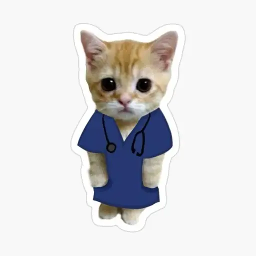 Doctor Cat