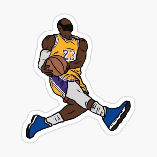Basket(23)
