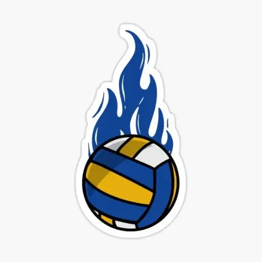 Volley(1)