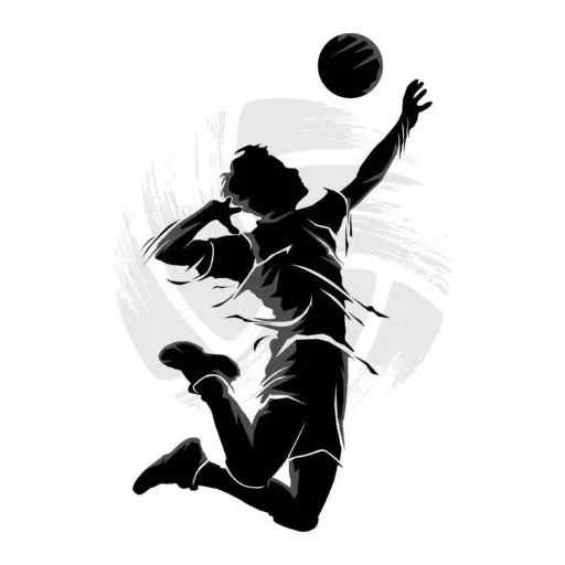 Volley(5)