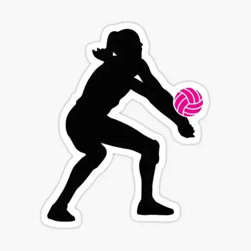 Volley(8)