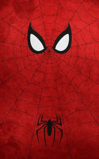 SPIDER MAN