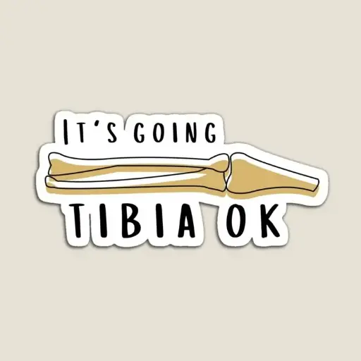 Tibia