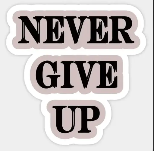 Never Give Up
