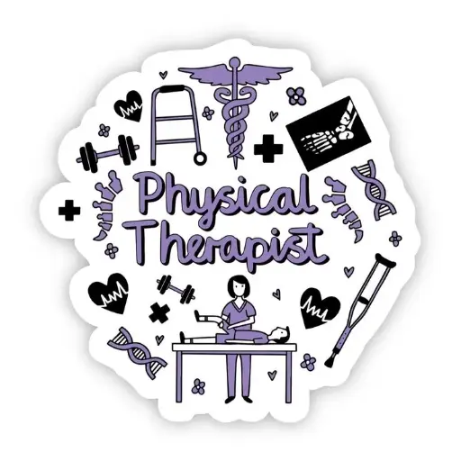  Physical Therapy 