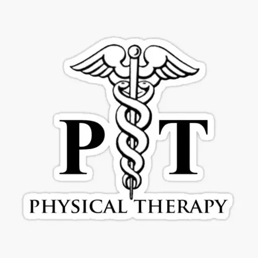 Physical Therapy 