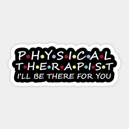 Physical Therapist