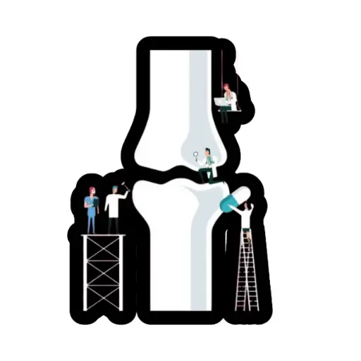 Repair Bone