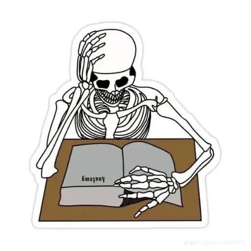 Skeleton Student